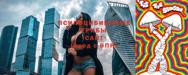 ГАЛЛЮЦИНОГЕННЫЕ ГРИБЫ Покровск