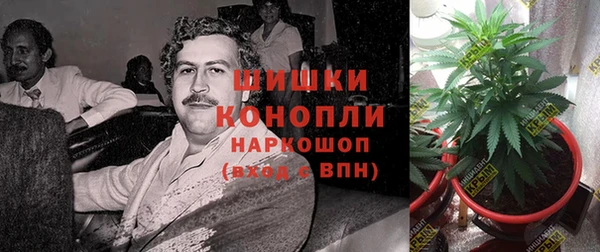 ГАЛЛЮЦИНОГЕННЫЕ ГРИБЫ Покровск