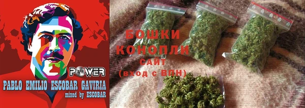 ГАЛЛЮЦИНОГЕННЫЕ ГРИБЫ Покровск