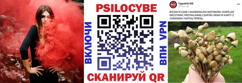 Галлюциногенные грибы Magic Shrooms  Полярный 